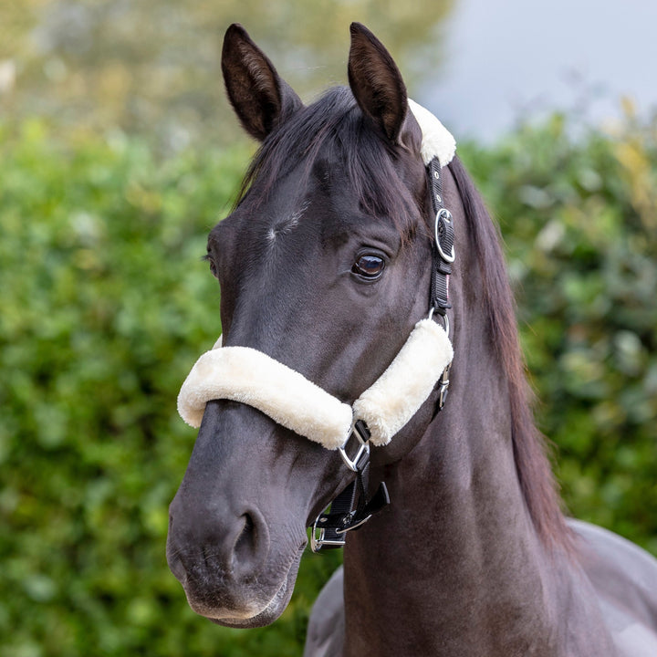 The LeMieux Comfort Fleece Headcollar in Cream#Cream