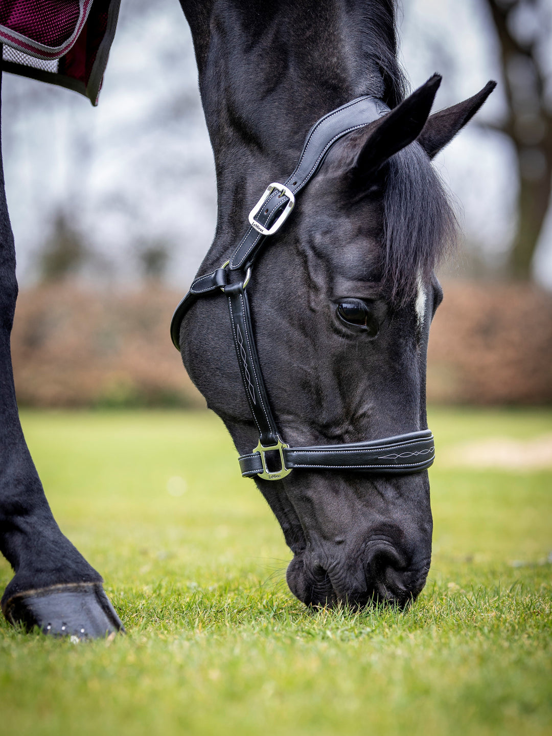 LeMieux Stitched Leather Headcollar