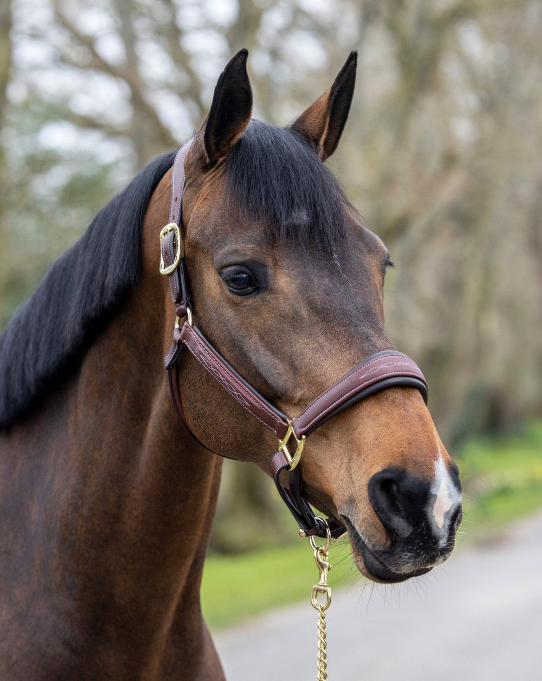 The LeMieux Stitched Leather Headcollar in Brown#Brown