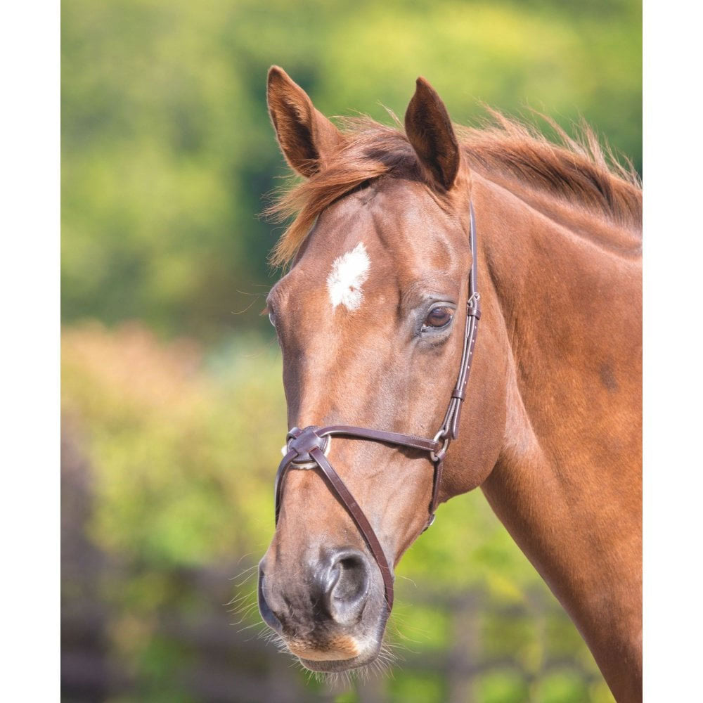 The Shires Blenheim Mexican Noseband in Brown#Brown