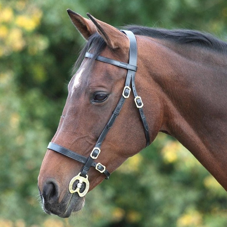 The Shires Blenheim Plain Inhand Bridle in Black#Black