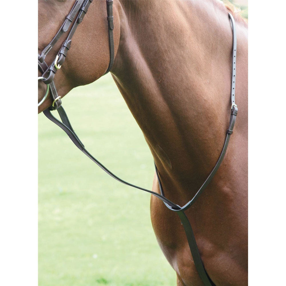 The Shires Blenheim Standing Martingale in Black#Black
