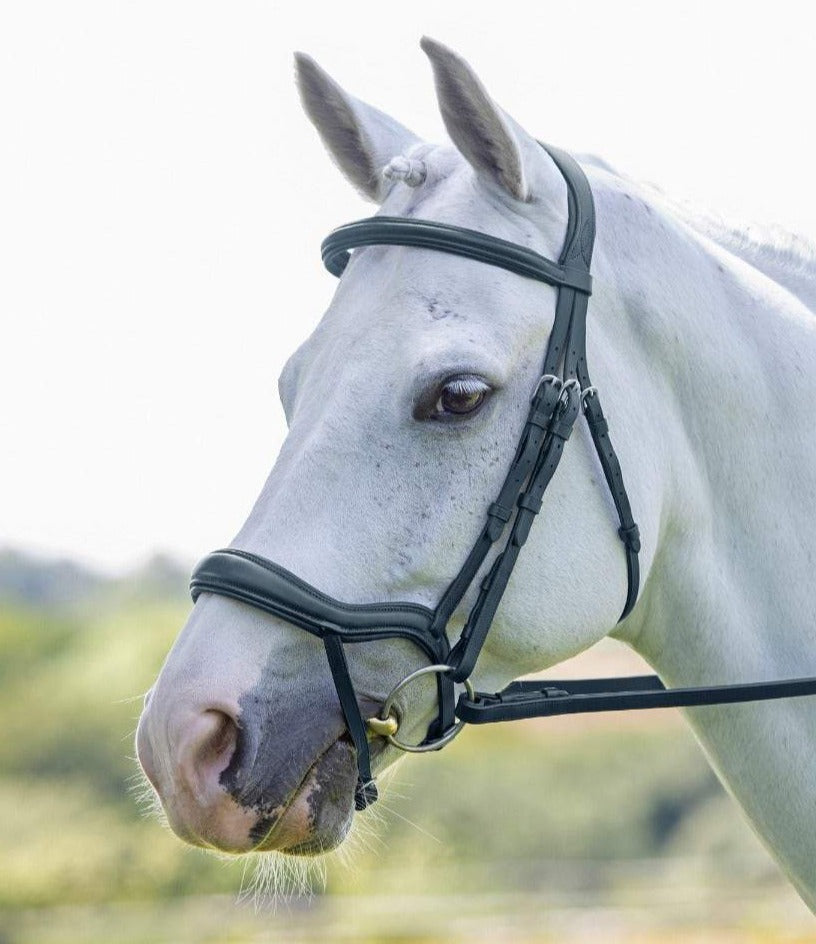 The Shires Velociti Ergonomic Flash Bridle in Black#Black