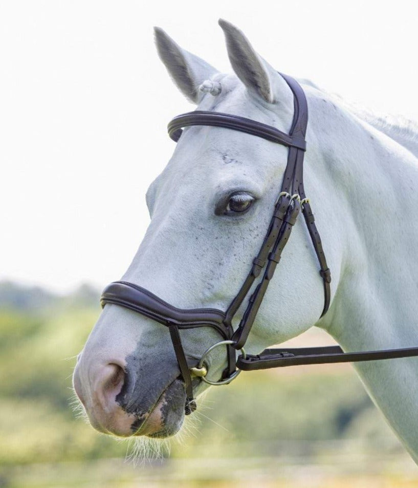 The Shires Velociti Ergonomic Flash Bridle in Brown#Brown