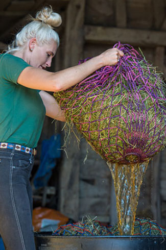 Fibre, fibre, fibre! Managing weight and diet in the good-doer.