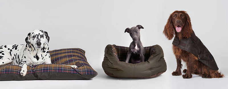 Give Your Dog A Barbour Make-Over This Winter