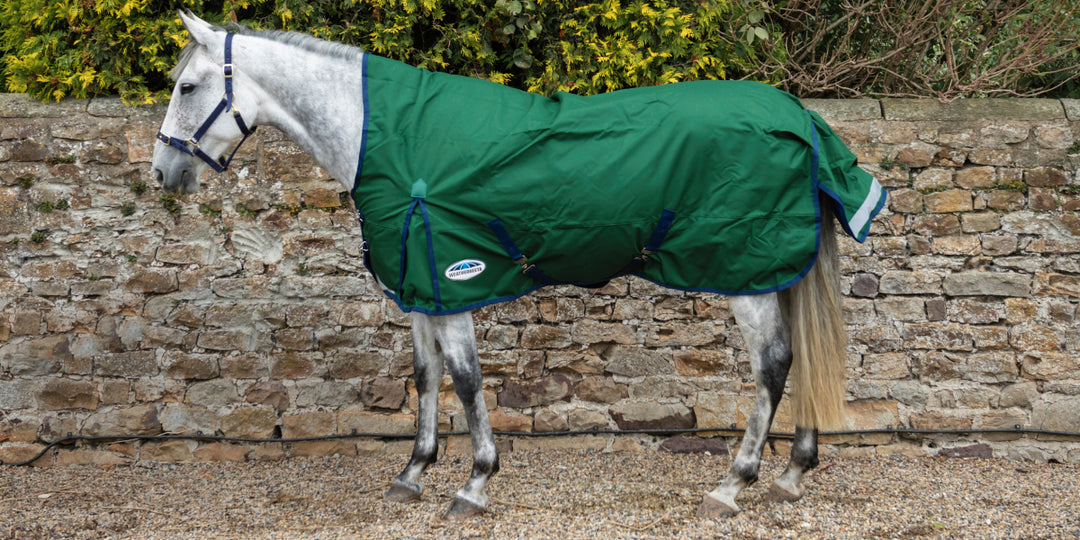 Unsure on what rug your horse needs this winter? We have it covered!