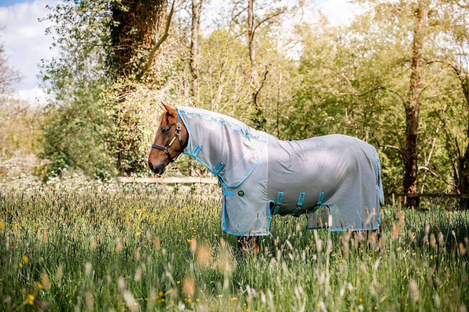 Buyer's Guide to Choosing the Best Fly Rug for Your Horse | Millbry Hill