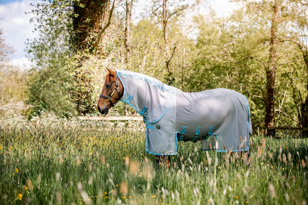 Buyer's Guide to Choosing the Best Fly Rug for Your Horse