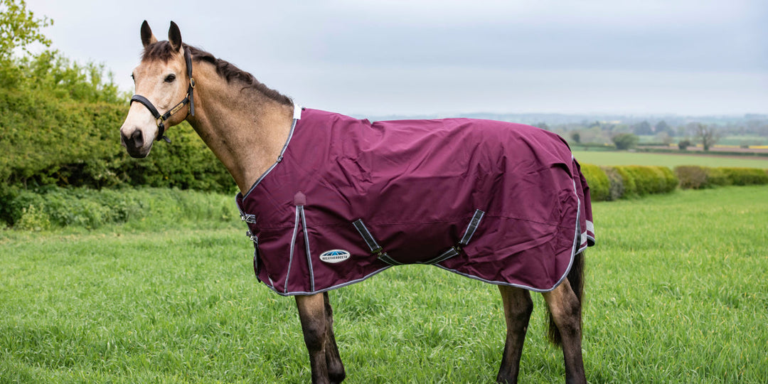 Standard Neck Turnout Rug