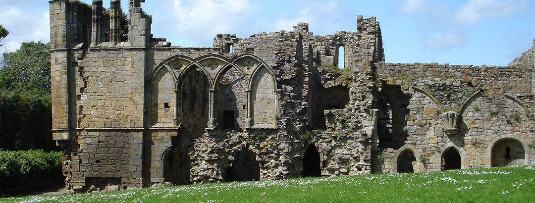 Our Favourite Dog Walks - Easby Abbey