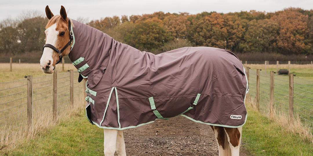 Millbry Hill Pro Combo Turnout Rug