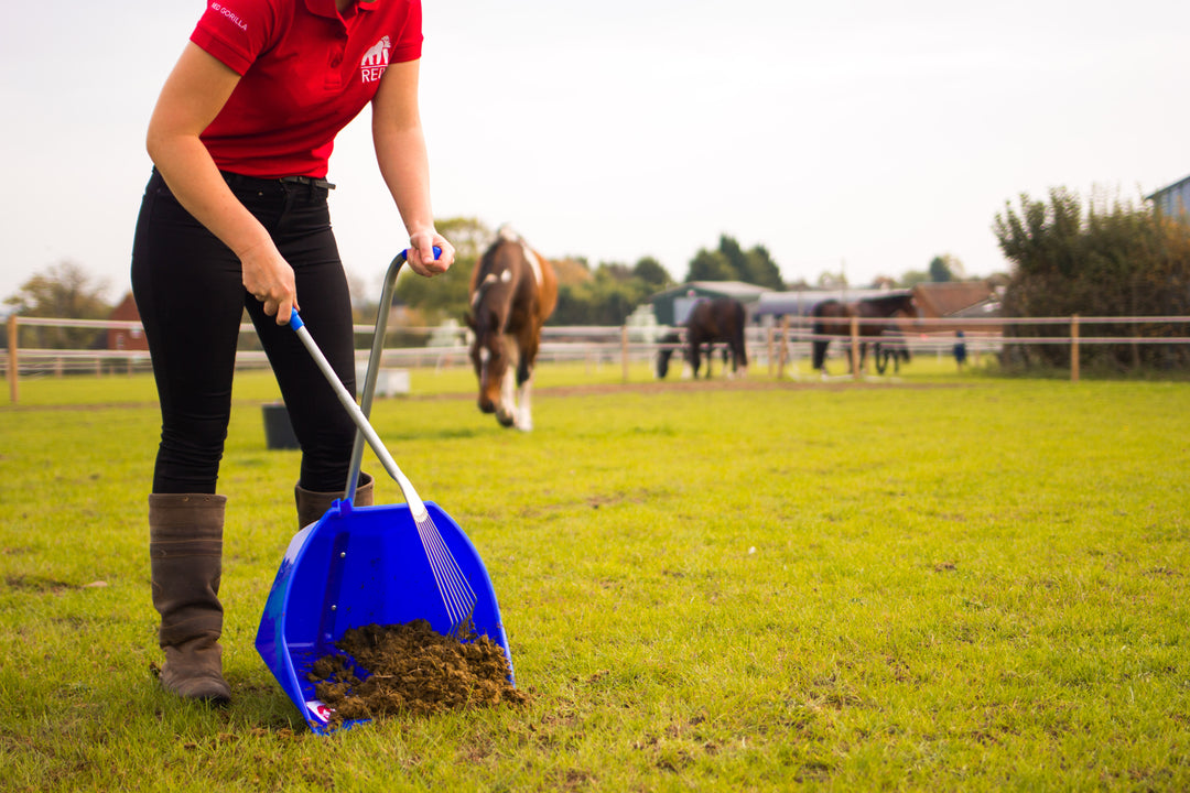 Essential Paddock Care Tools: Maintaining a Healthy Environment for Your Horses