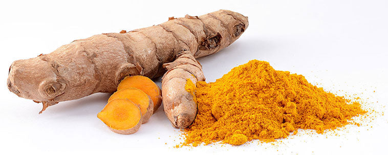The Benefits of Feeding Turmeric to Horses