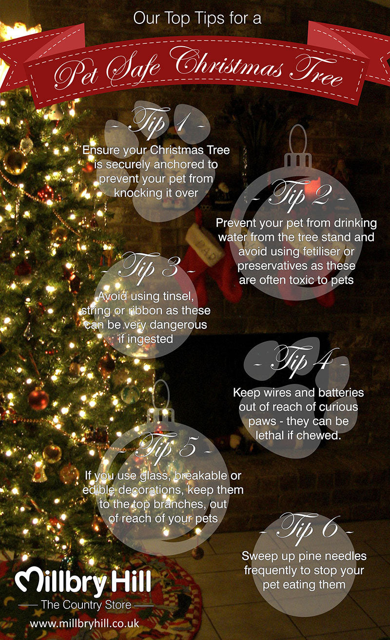 Top Tips for a Pet Safe Christmas Tree