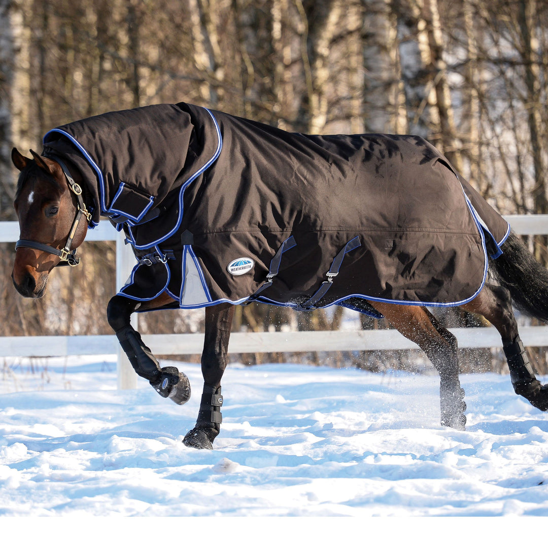 Millbry Hills guide to rugging your horse this winter ...