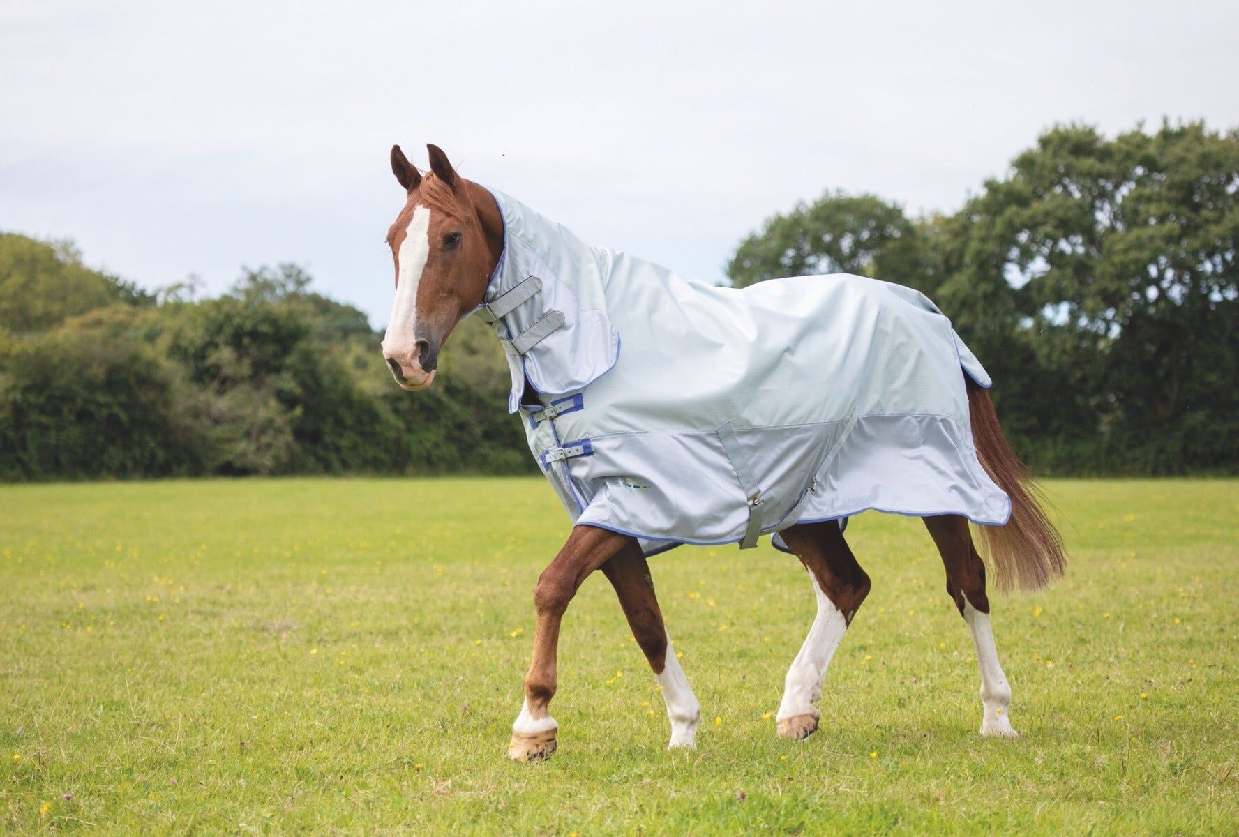 5 of the Best: Waterproof Fly Rugs | Millbry Hill