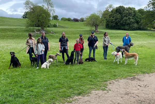 Millbry Hill join Animal Friends of Turkey for a sponsored dog walk ...