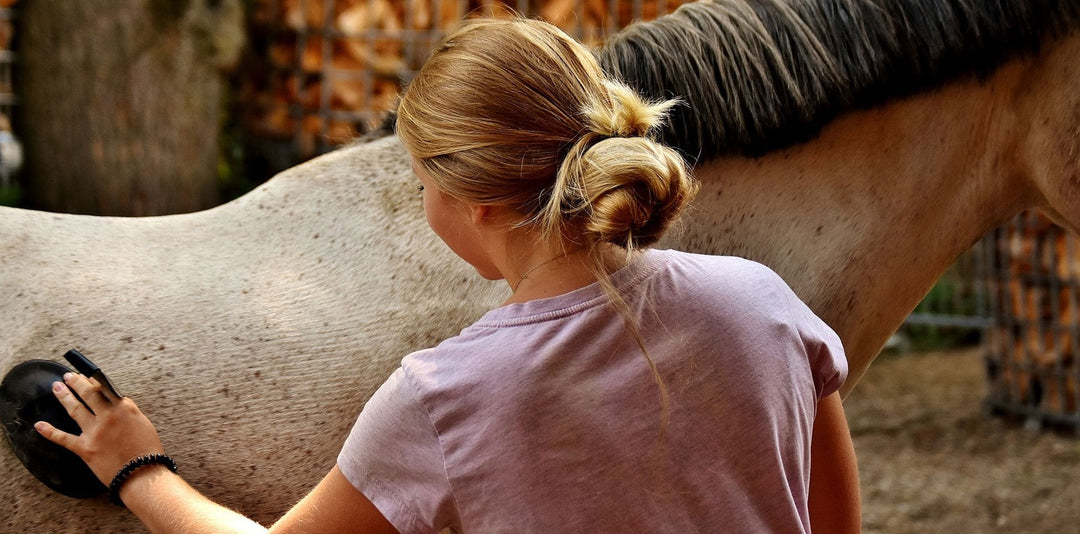 Horse grooming: A guide to keeping your horse in top condition