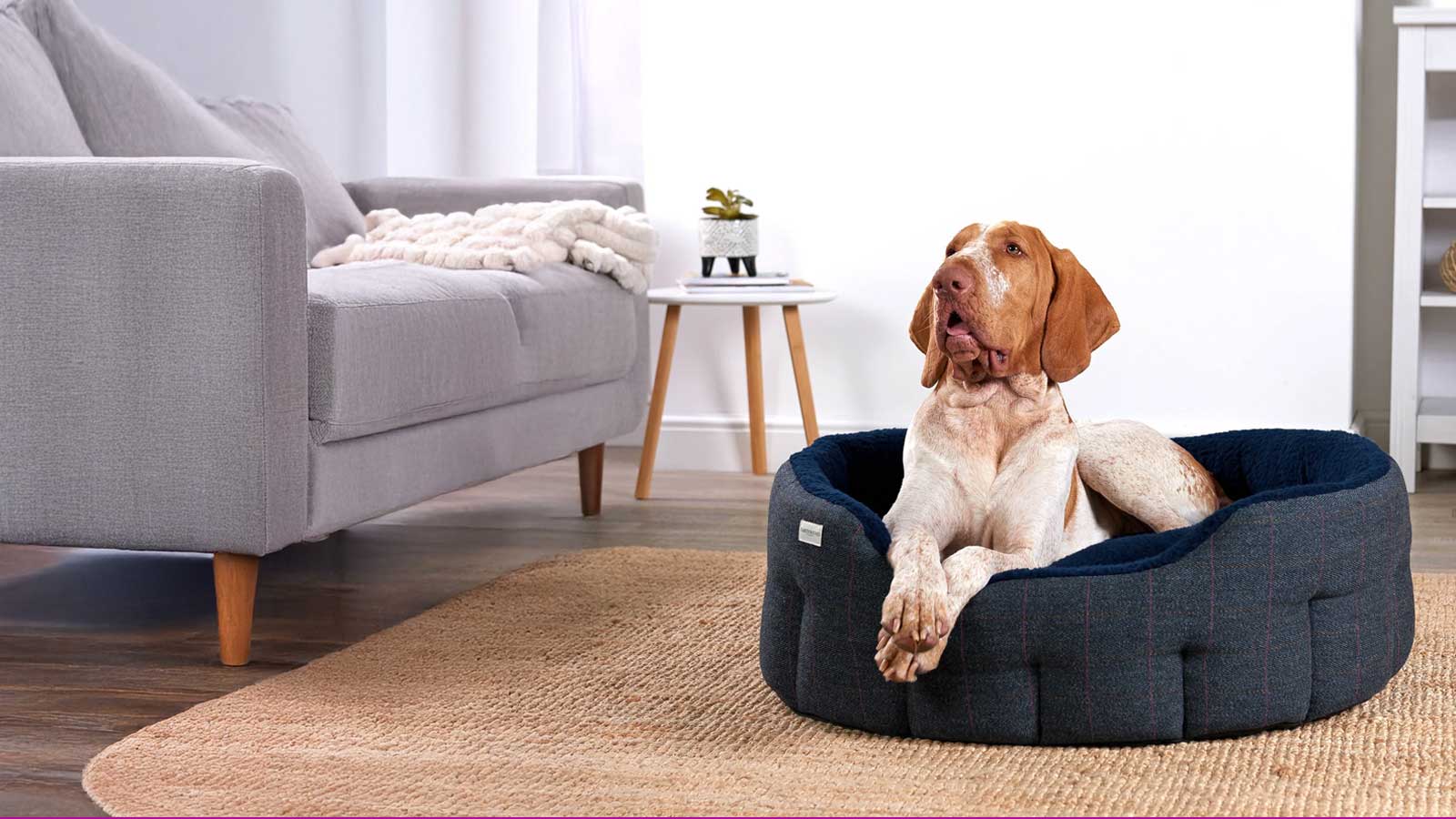 Earthbound Pet Beds & Accessories