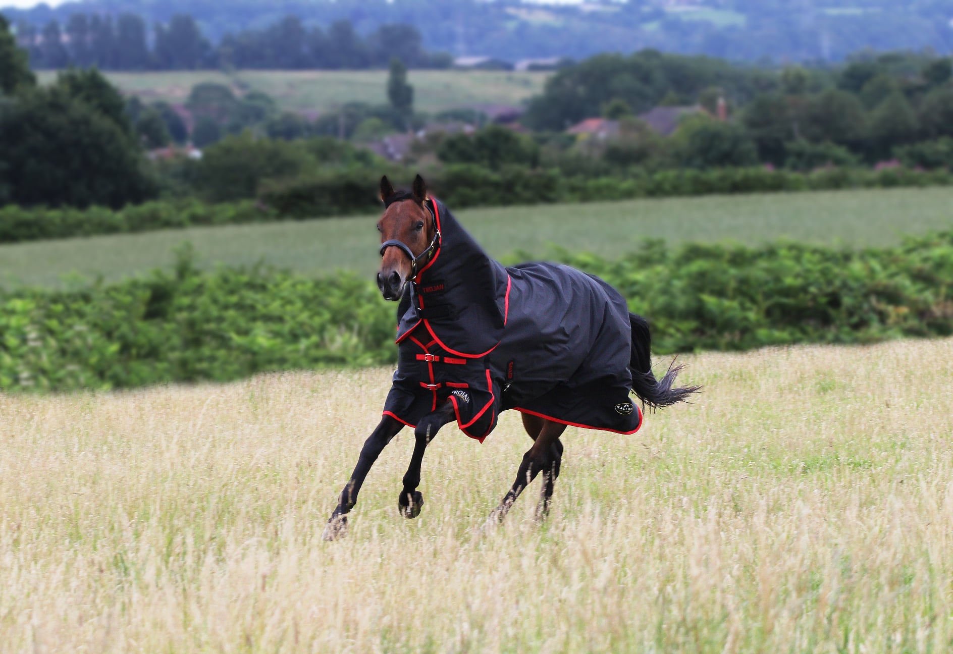 Gallop Horse Rugs