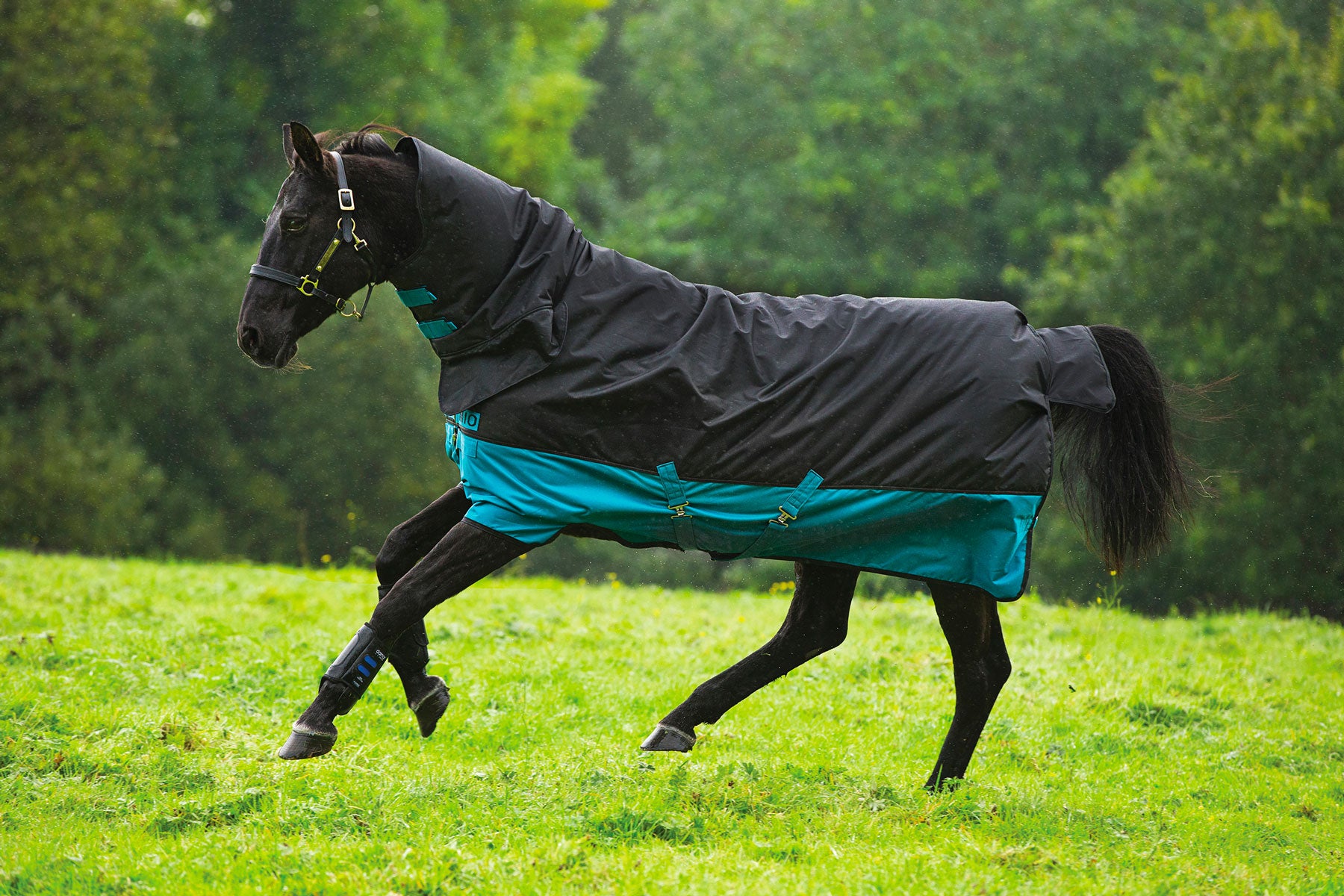 Mio Horse Rugs & Turnout Rugs