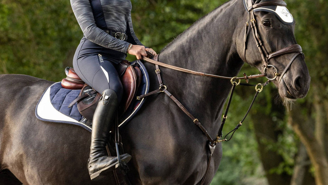 Lemieux saddle pad and tack