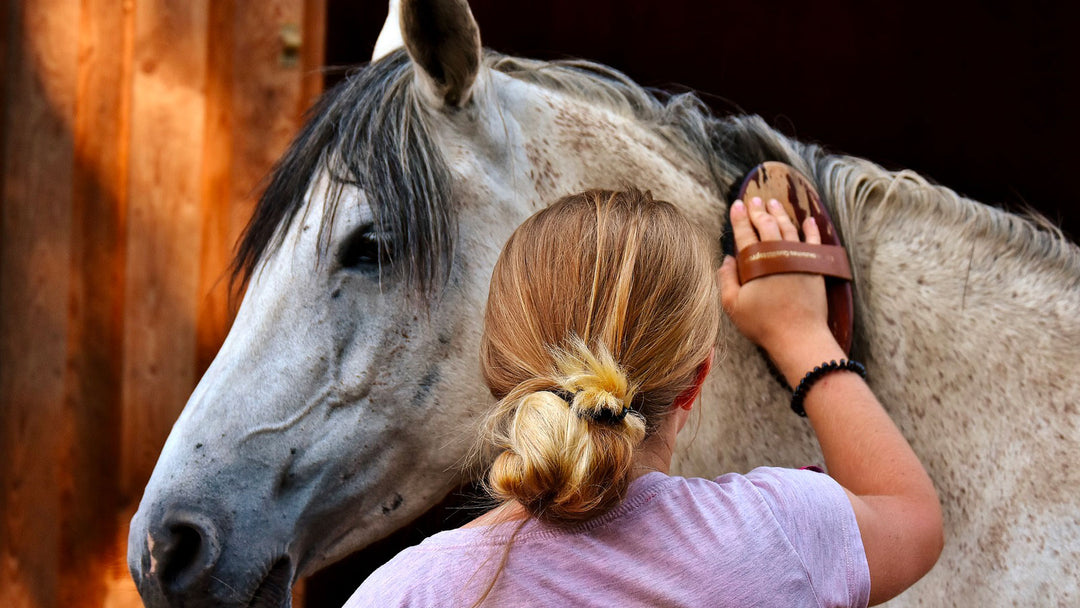Horse Grooming & Hoof Care