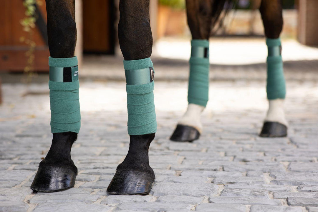 Horse Boots, Bandages & Wraps
