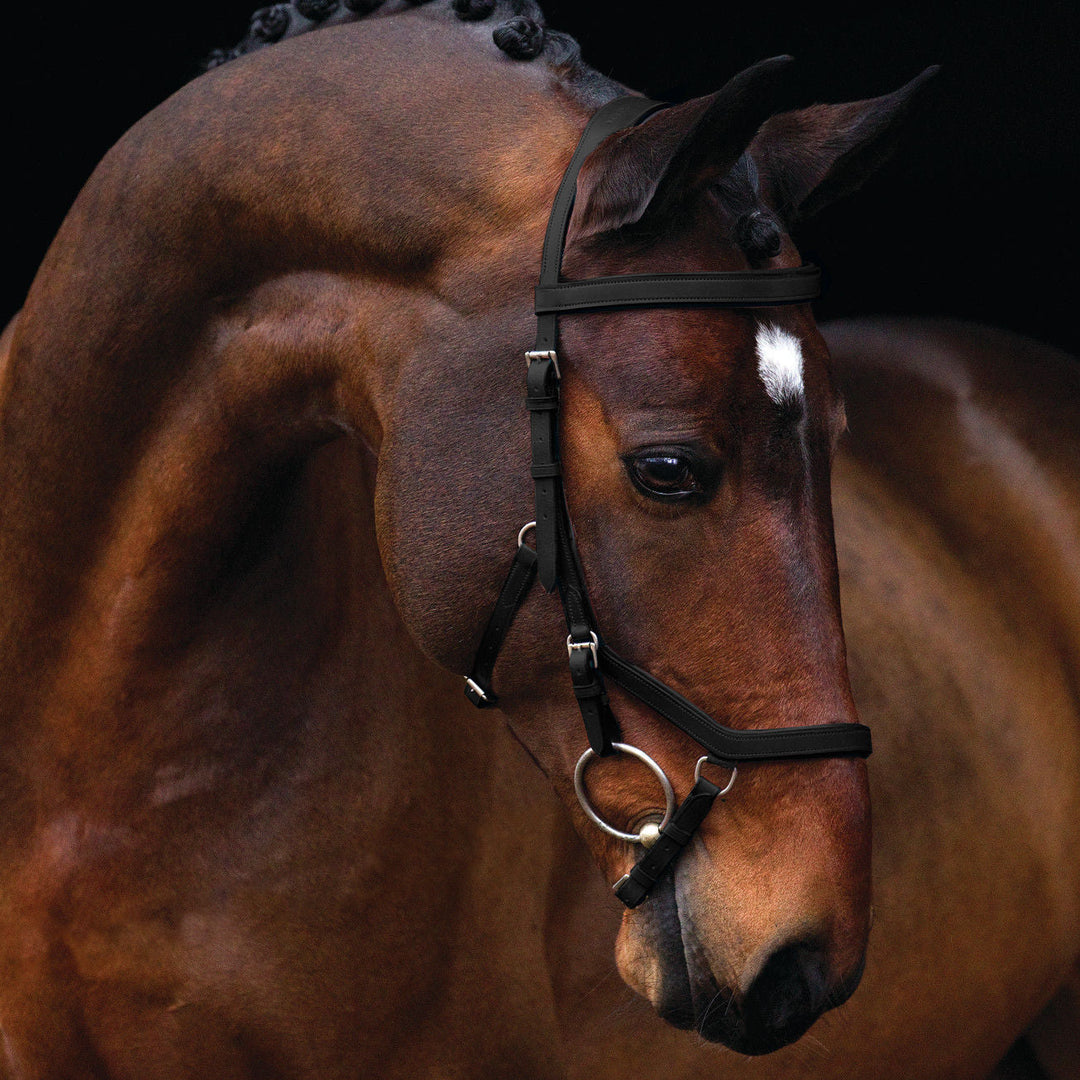 Brown horse wearing a black leather ergonomic bridles