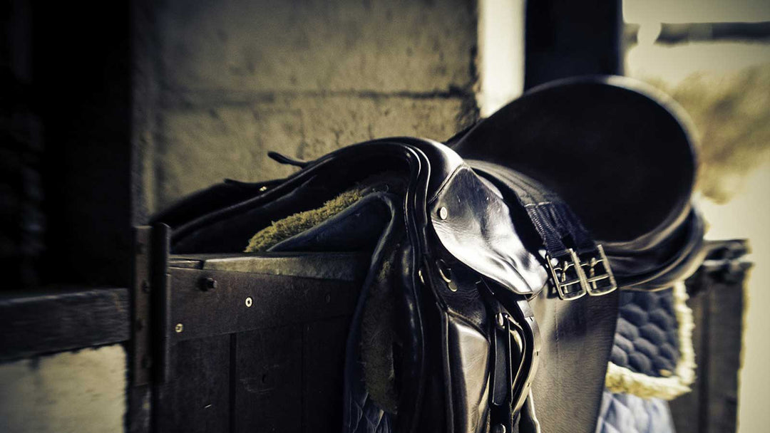 horse saddle care and tack cleaning