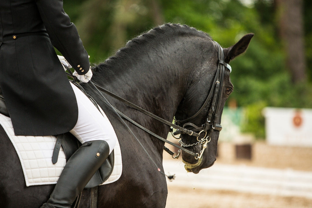 Dressage rider riding a horse with leather double reins