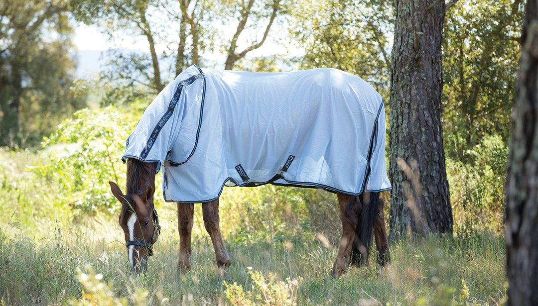 Fly Rugs & Fly Sheets for Horses