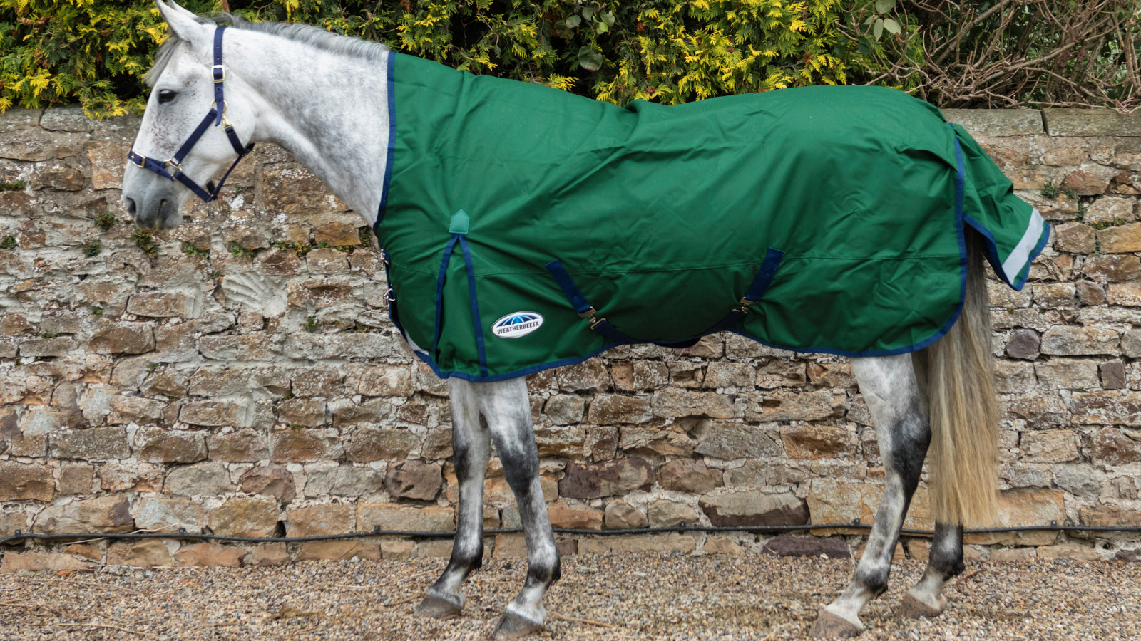 Horse Coat Clipping - Winter Horse Coat Care, Premier Equine