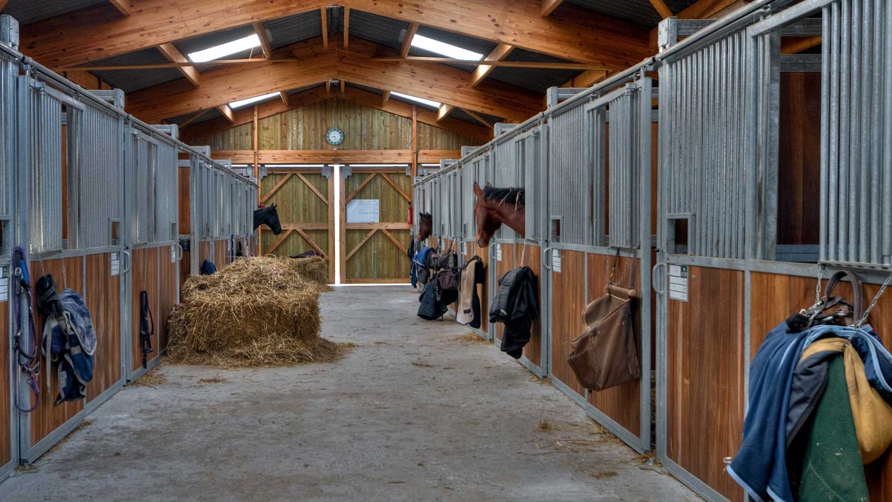 Horse Stable Equipment
