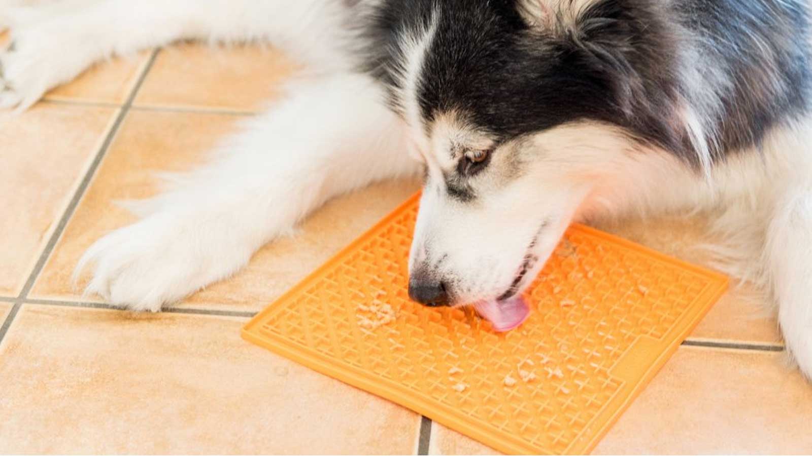 Snuffle Mats, Lick Mats & Puzzle Treat Toys for Dogs