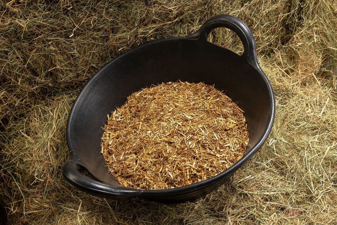 Bucket of Chopped Chaff for Horses