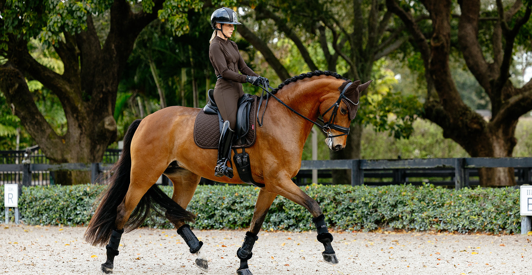 Women's Equestrian Clothing