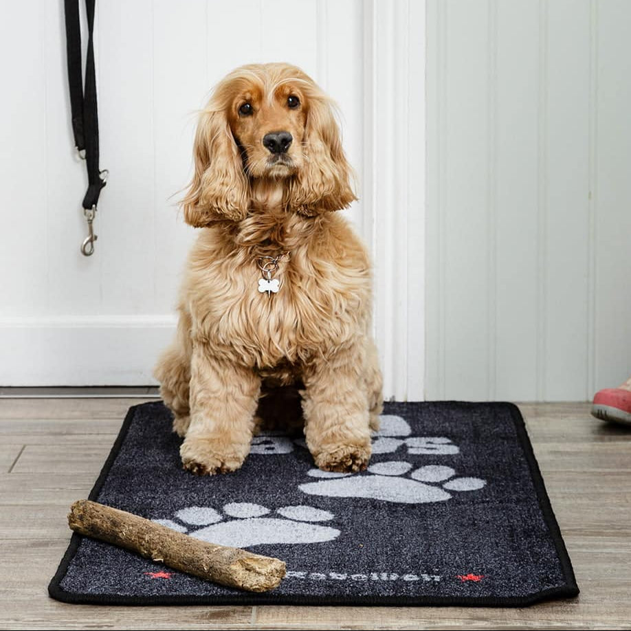 Pet Rebellion Stop Muddy Paws Rug