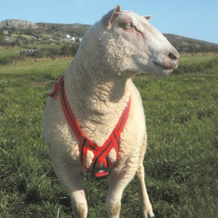 Agrihealth Matingmark Deluxe Breeding Harness