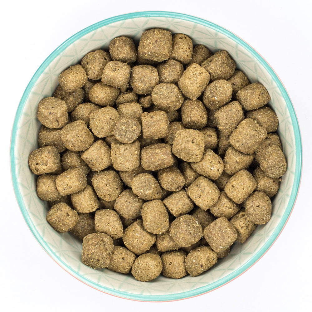Burns Adult Dog Original with Lamb +2kg FOC