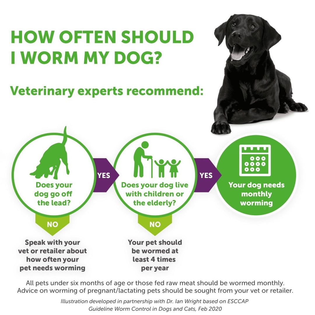 Drontal Dog Tasty Bone Wormer