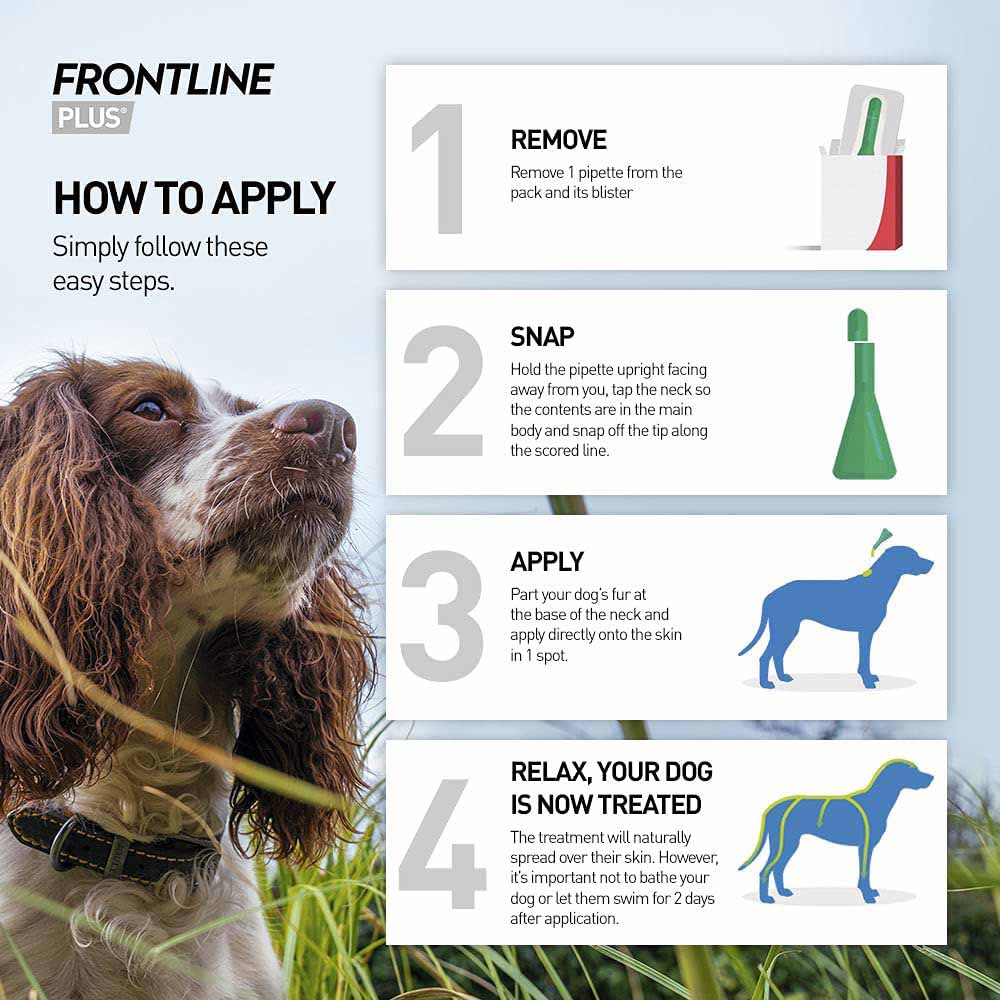 Frontline Plus Spot On Flea Treatment for Small Dogs (2-10kg)