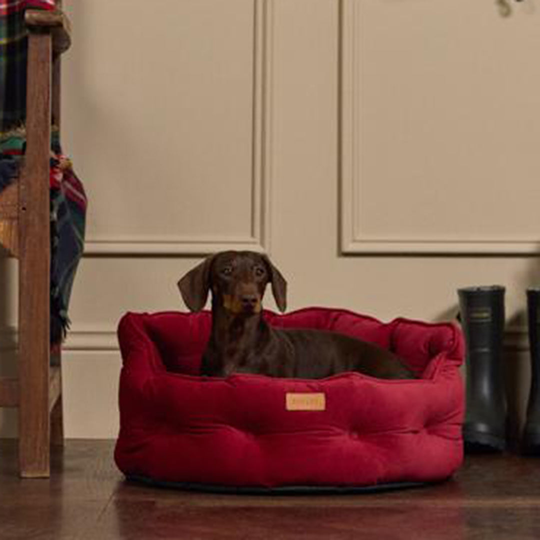 Joules Chesterfield Pet Bed