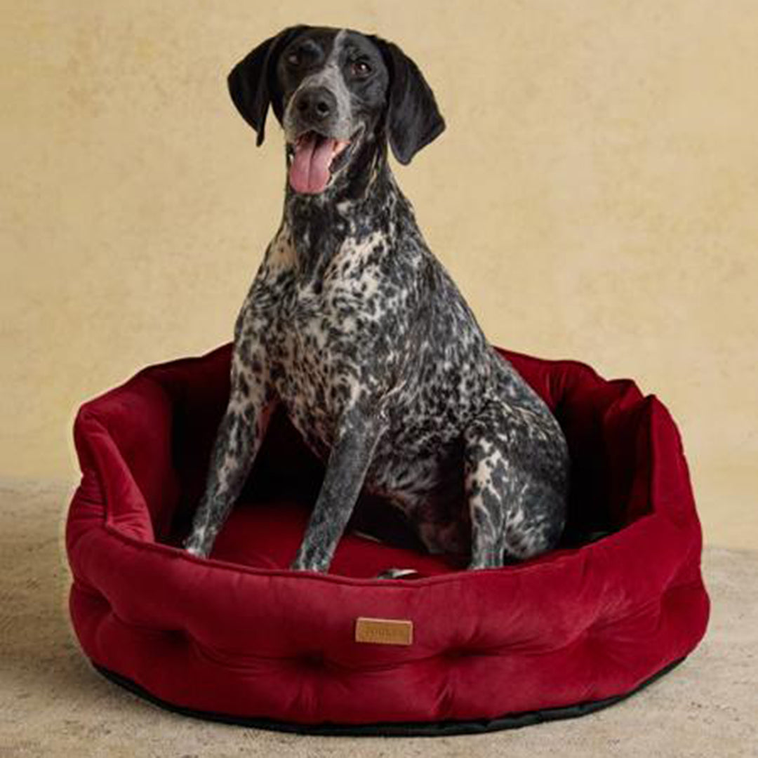 Joules Chesterfield Pet Bed