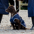Equidry Microfibre Fleece Dog Coat