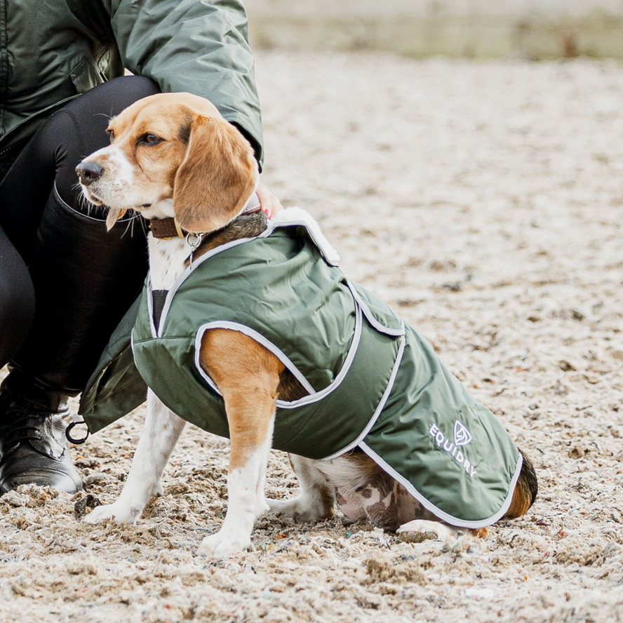Equidry Waterproof Dog Coat