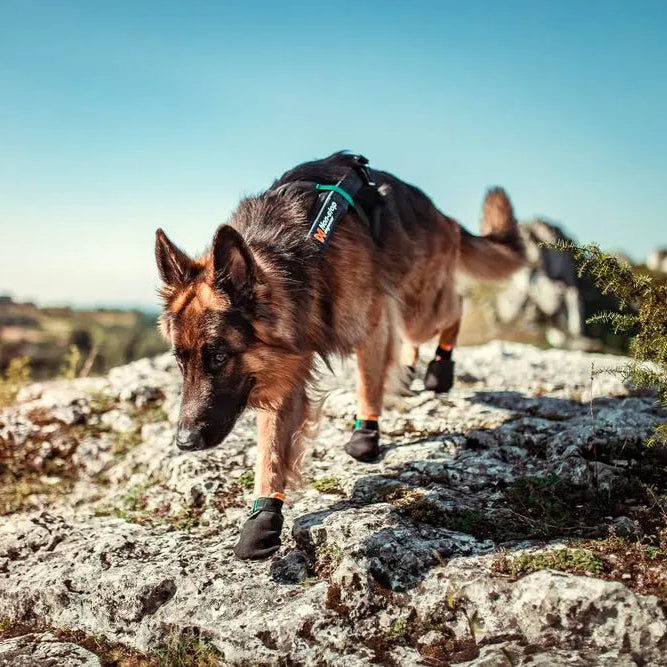 Non-Stop Dog Wear Protector Dog Booties