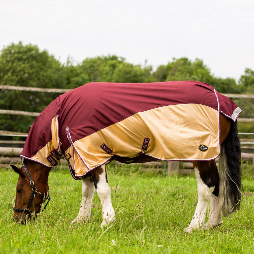 Gallop Trojan Xtra Combo Turnout Fly Rug