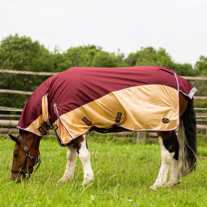 Gallop Trojan Xtra Fly Turnout Combo Waterproof Fly Rug